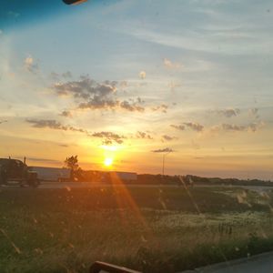 Meet your Posher, Misty